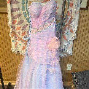 Vintage Sweet Sixteen Dress